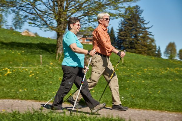 Learn Nordic Walking Workshop