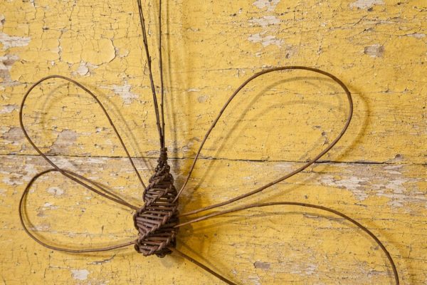 Introduction to Willow Weaving