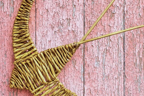 Introduction to Willow Weaving