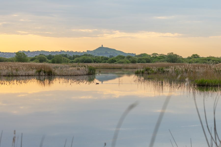 RSPB Ham Wall: A History – Guided Walk